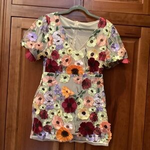 Floral Embroidered Mini Dress